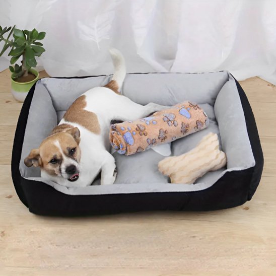 chien blanc et brun couche dans panier à chien