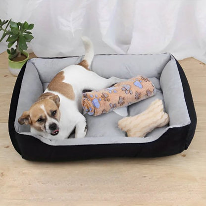 chien blanc et brun couche dans panier à chien