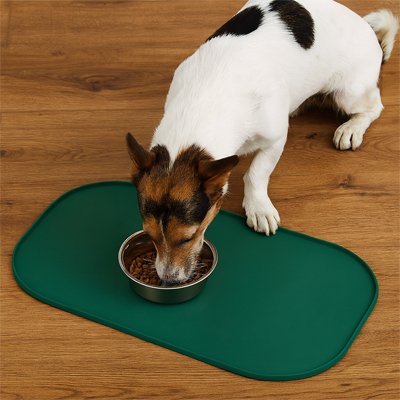 chien blanc et brun mange dans son bol qui est surTapis gamelle Chien vert