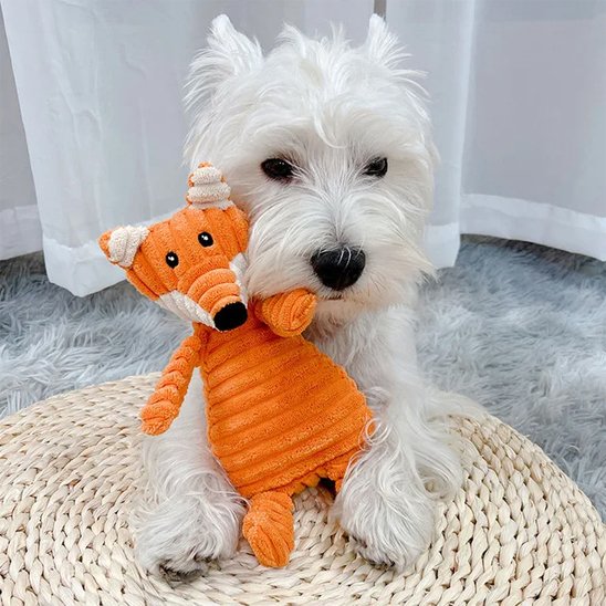 chien blanc tient Peluche pour chien dans sa gueule