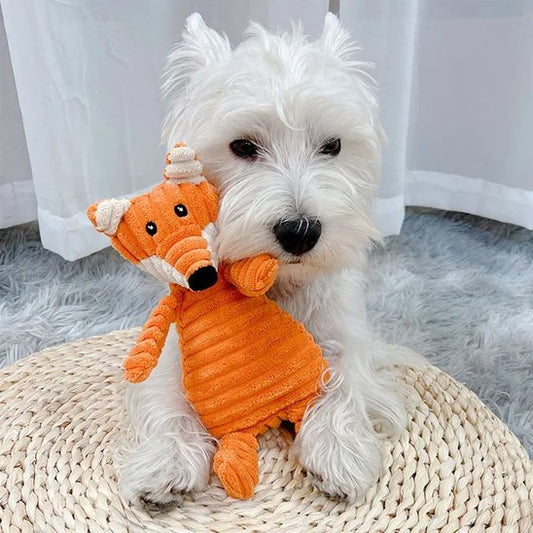chien blanc tient Peluche pour chien dans sa gueule