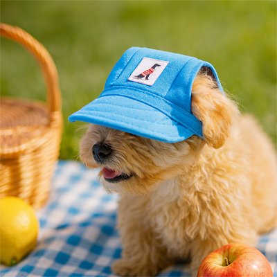 chien blond porte Casquette pour chien​ en pique nique