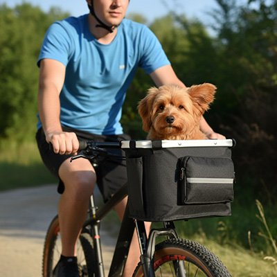 chien brun dans Vélo panier Chien lors de promenade