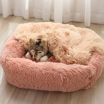 chien couche dans Panier pour chien rose 