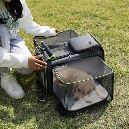 chien dans Sac transport pour chien ouvert en enclos sur pelouse