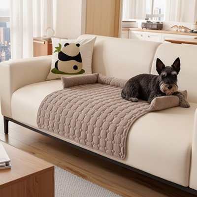 chien gris couche sur Lit pour chien sur sofa blanc