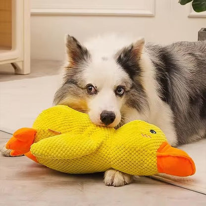 chien gris et blanc tient jouet peluche pour chien dans gueule