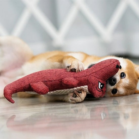 chien joue avec Peluche pour chien