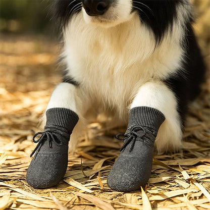 chien noir et blanc portant Chaussure Chien est couché dans paille