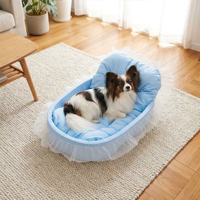 chien papillon couché dans Lit pour Chien bleu