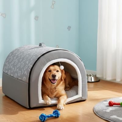 chien roux dort dans Niche Chien interieur sur moquette