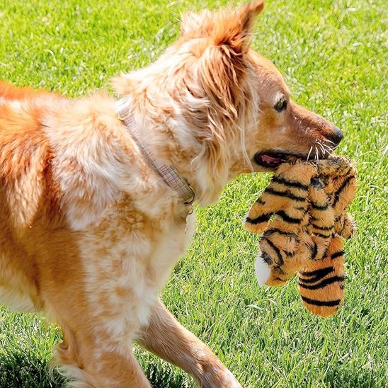 chien roux et blanc tient Peluche pour chien dans sa gueule sur pelluse