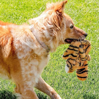 chien roux et blanc tient Peluche pour chien dans sa gueule sur pelluse