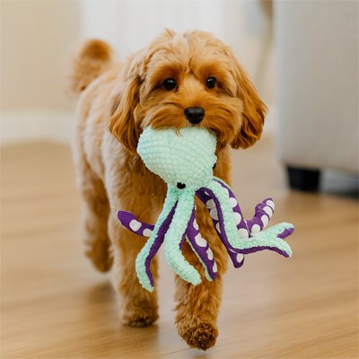 chien roux marche avec Peluche Chien