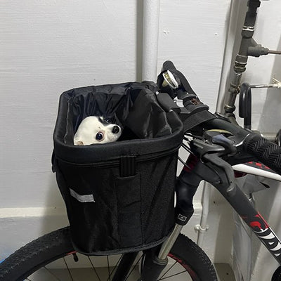 chihuahua assis dans Panier velo chien 