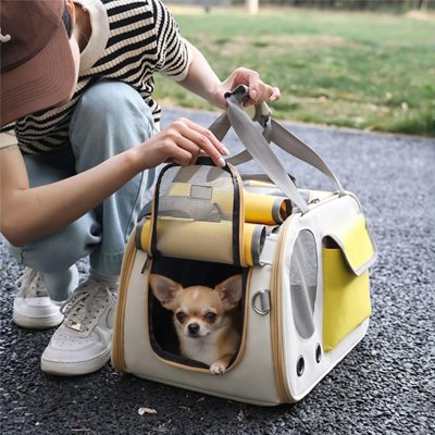chihuahua dans Sac transport pour Chien avec jeune dame qui le regarde