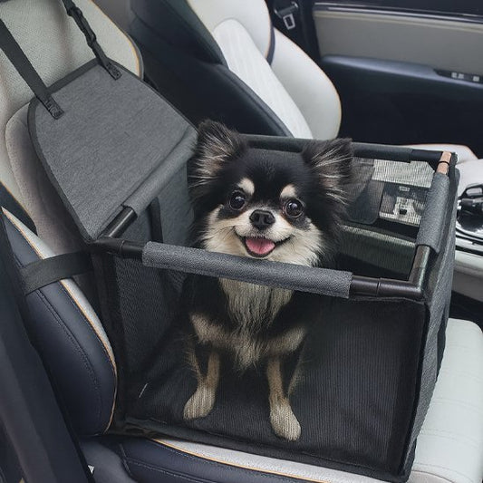 chihuahua noir assis dans Siege auto pour chiens gris foncé