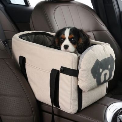 chiot berger bernois dans Sac de transport Chien sur console de voiture