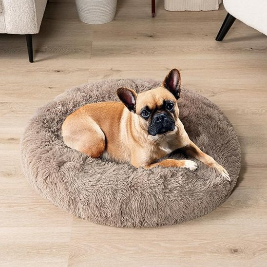 chiot boxer est couche dans Panier pour chien café
