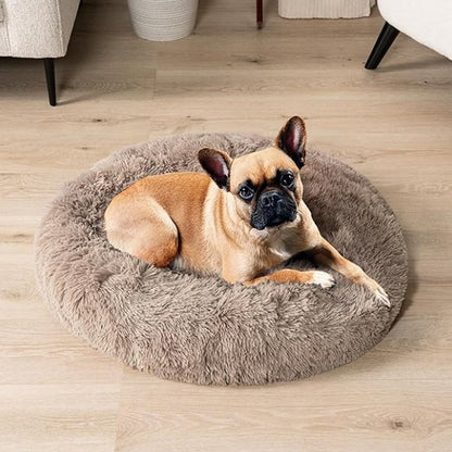 chiot boxer est couche dans Panier pour chien café