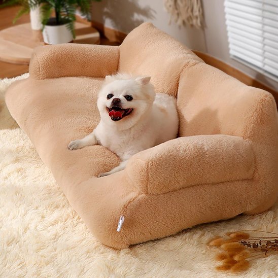 chiot chouché sur Canapé pour chien café latté