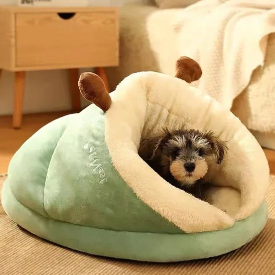 chiot couche dans Lit pour chien