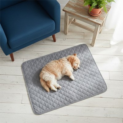 chiot dort sur Tapis absorbant Chien gris