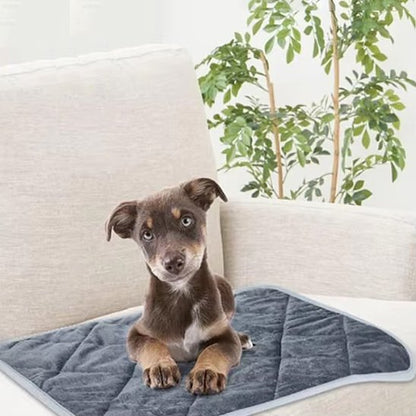 chiot etendu sur Tapis chauffant chien sur canape