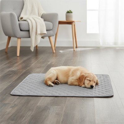 chiot golden retriever dort sur Tapis absorbant Chien gris sur sol gris