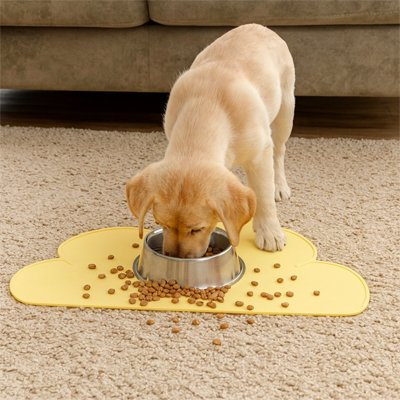 chiot mange croquettes sur Tapis gamelle Chien jaune