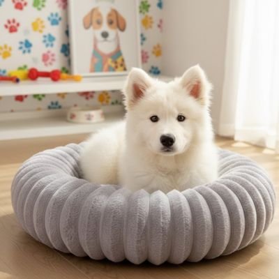 chiot samoyède dans Panier à Chien 