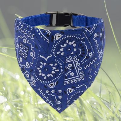 collier bandana chien foulard bleu