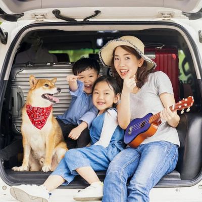 shiba inu avec collier bandana chien dans voiture avec 3 enfants