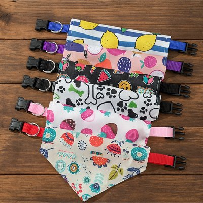 Collier Bandana Chien sur table