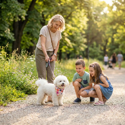 bichon maltais portant collier bandana chien dans parc