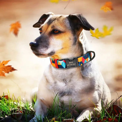 chien-couché-dans-gazon-regarde-vers-gauche-feuilles-automne-volent-autour-de-lui