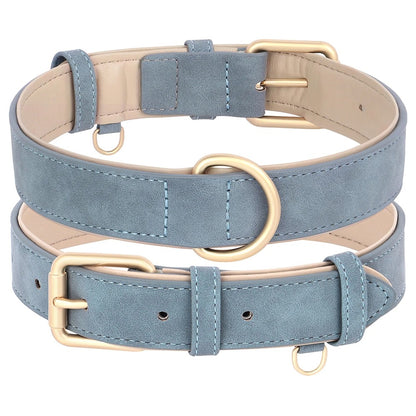 collier chien bleu sur fond blanc