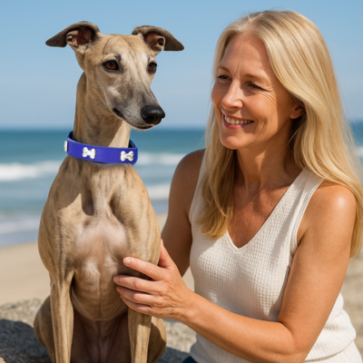 levrier portant collier chien est assis avec dame aux cheveux longs blonds sur la plage