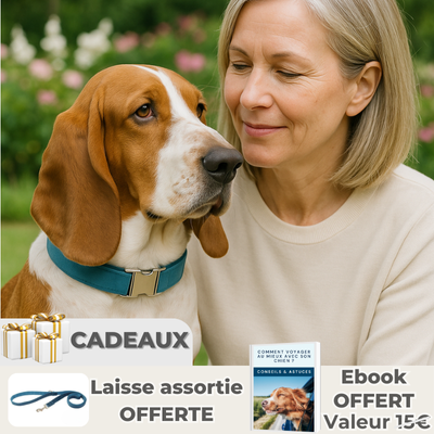 dame avec son basset portant collier chien bleu dans un jardin fleuri