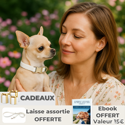 COLLIER CHIEN EN DAIM™ PERSONNALISABLE