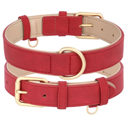 collier chien rouge sur fond blanc