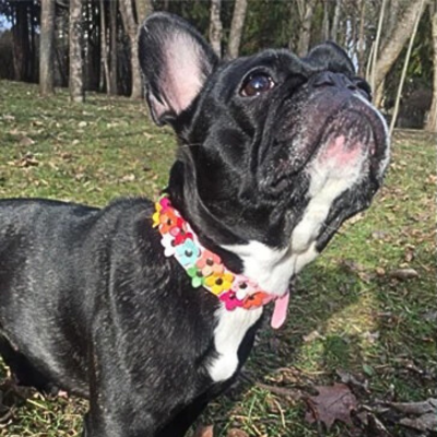 Collier chien Flower Power™