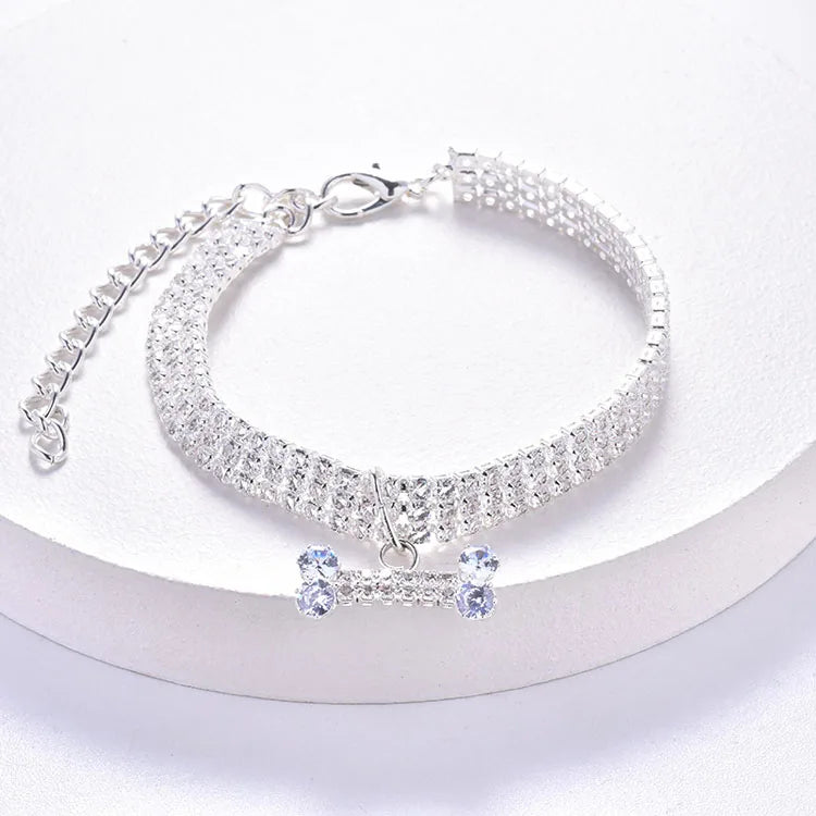 collier chiot  sur table blanche