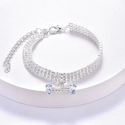 collier chiot  sur table blanche