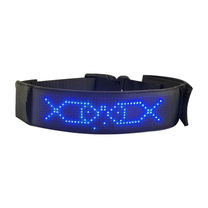 collier lumineux chien bleu sur fond blanc