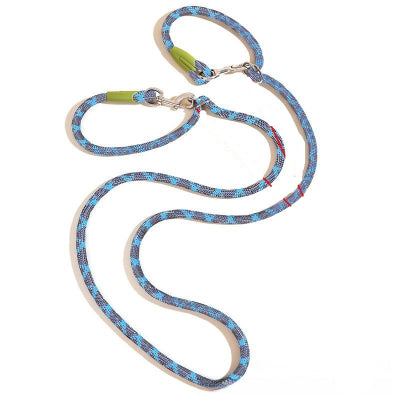 laisse pour chien variante bleue