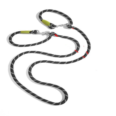 laisse pour chien variante