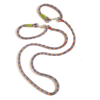 laisse pour chien variante orange