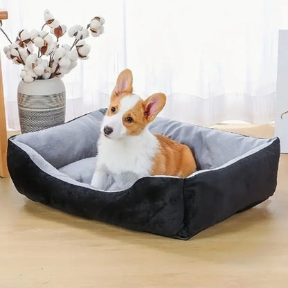 corgi couche dans panier à chien