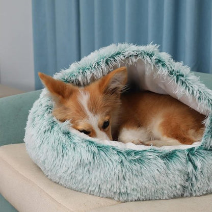corgi couche dans Panier chien
